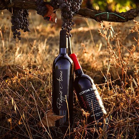 Catabbio Country House Poggio Aioneゲストハウス エクステリア 写真
