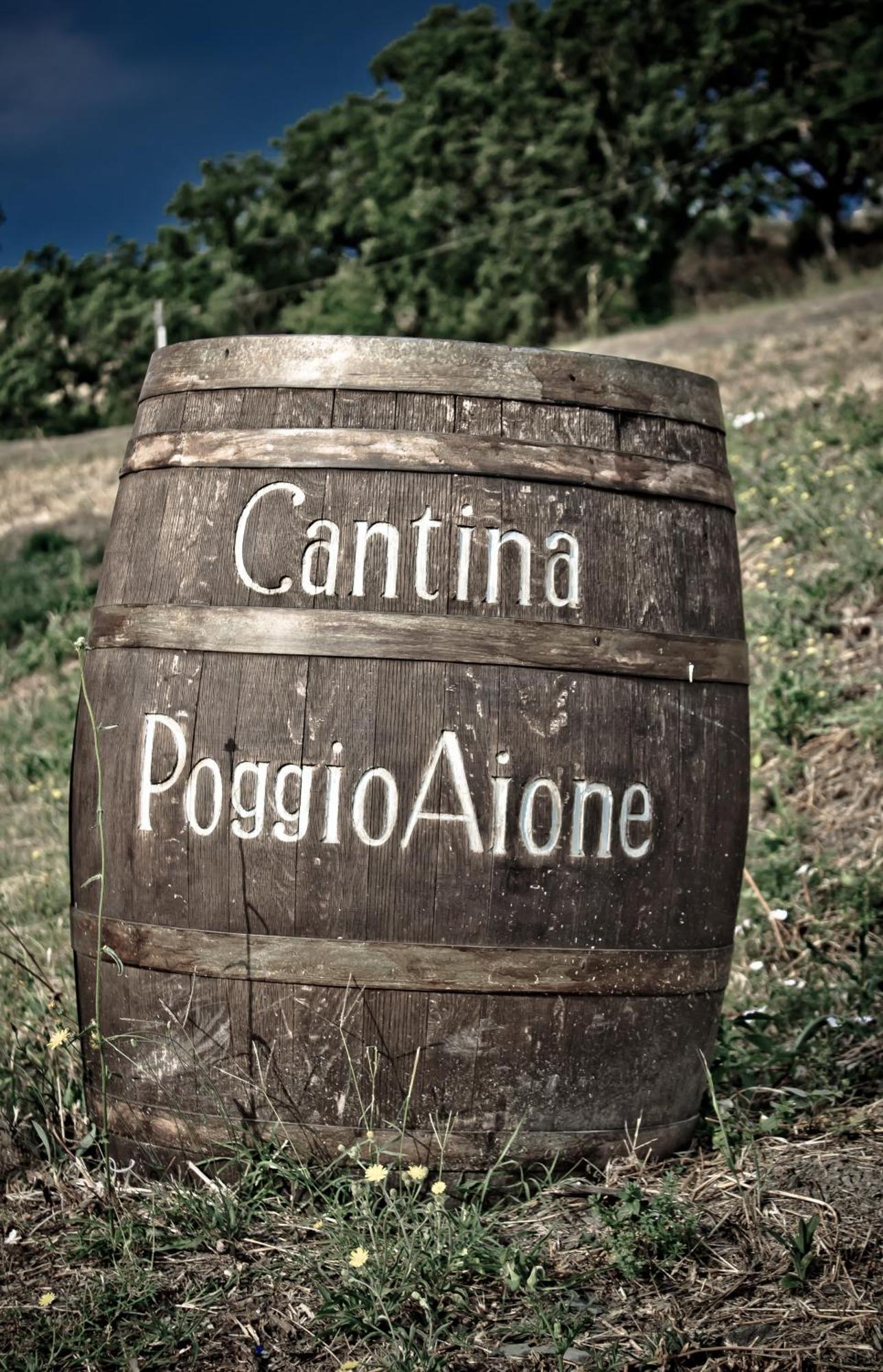 Catabbio Country House Poggio Aioneゲストハウス エクステリア 写真