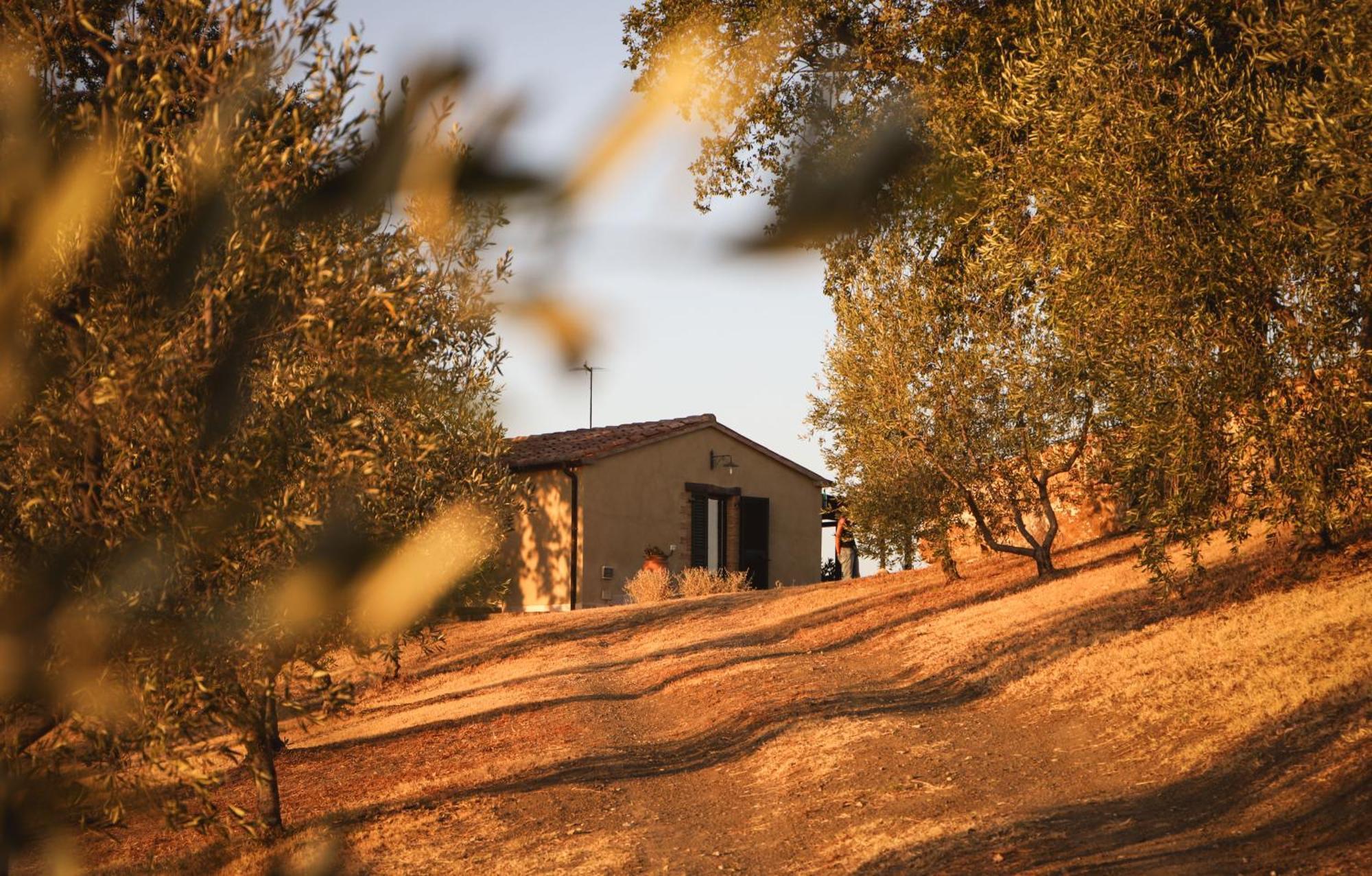 Catabbio Country House Poggio Aioneゲストハウス エクステリア 写真