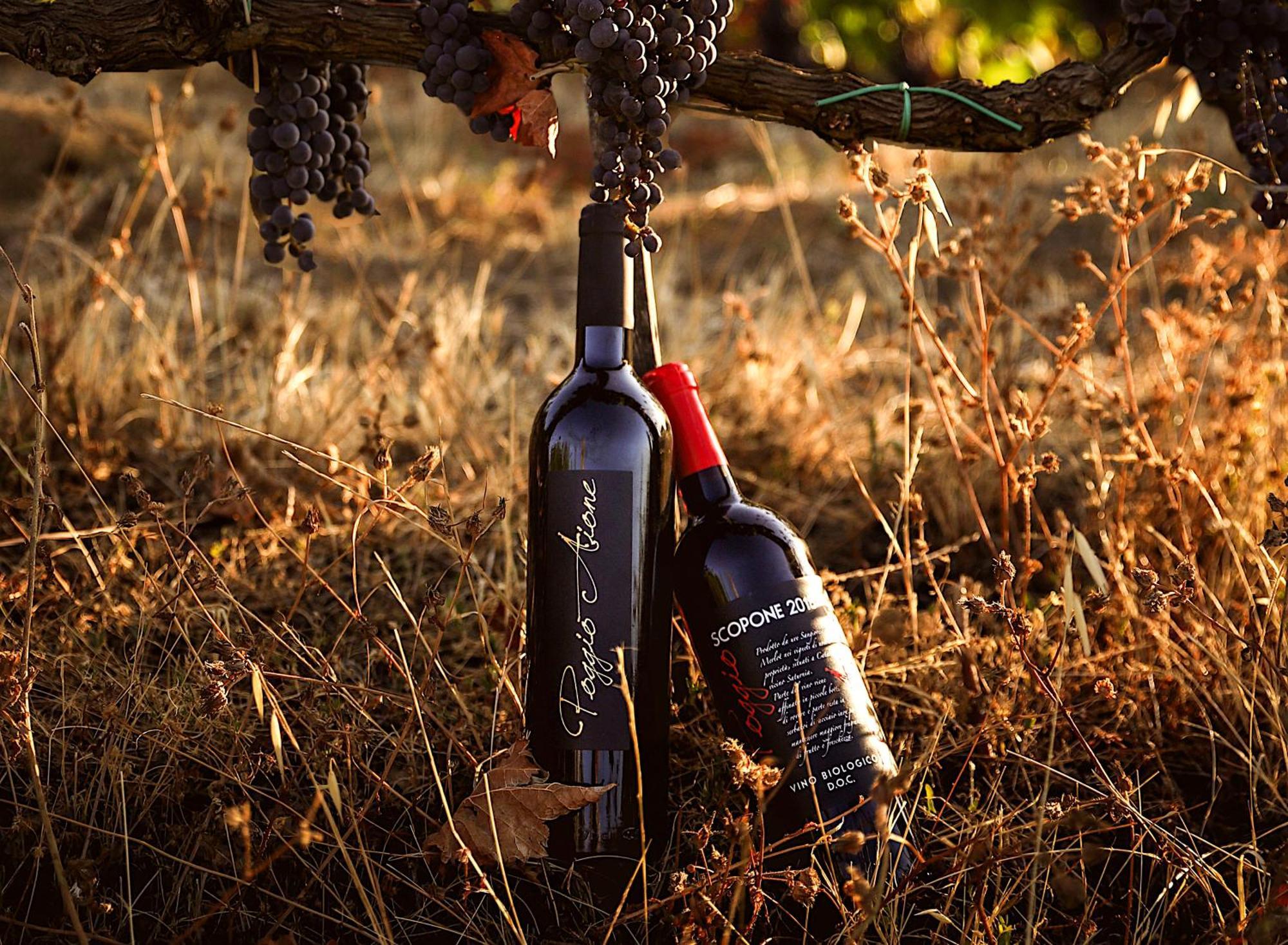 Catabbio Country House Poggio Aioneゲストハウス エクステリア 写真